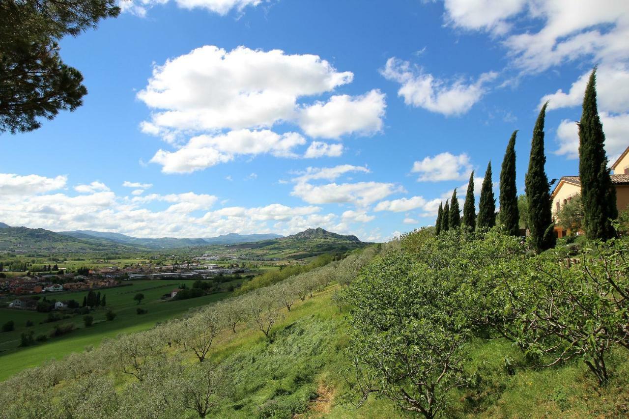 Poggio BerniIl Poggianino住宿加早餐旅馆 外观 照片